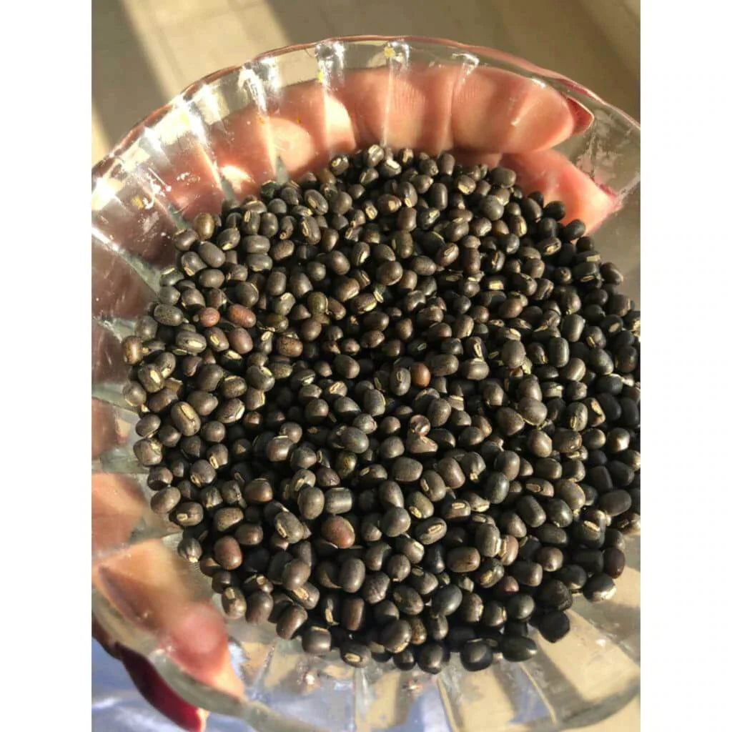 Balaayah Black Gram Booster - Mejor Aceite Corporal para Piel Seca - Aceite de Masaje Natural para el Cuidado de la Piel - Hidratante Corporal Mejor que la Loción Corporal